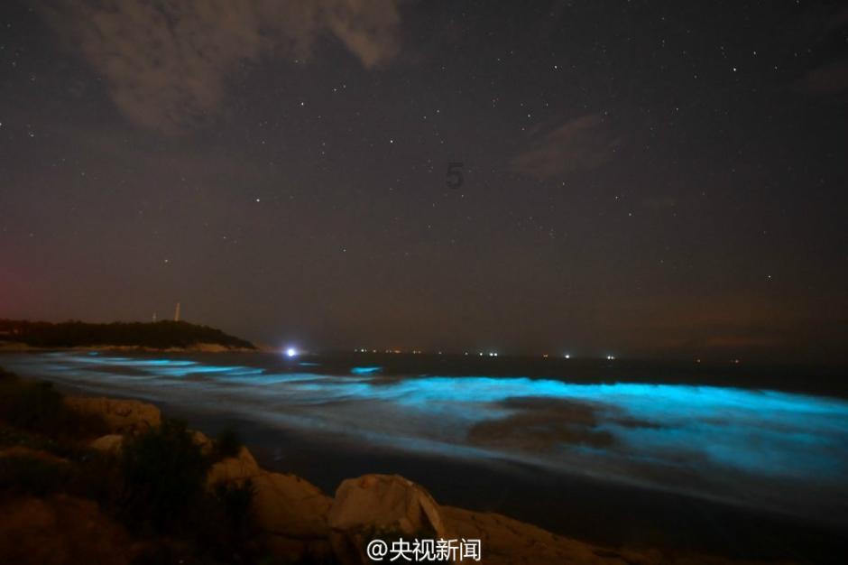 布拉德利全场数据:两次助攻,3次关键传球