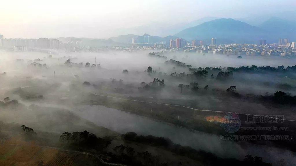 四川仁寿县某乡村,神秘古坟长了一棵怪树,教授现场查看揭开谜底