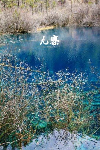 妙鸭相机app下载官网