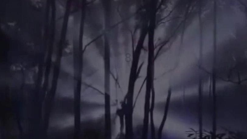阿凯历险记