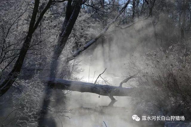 翻滚吧大脚车
