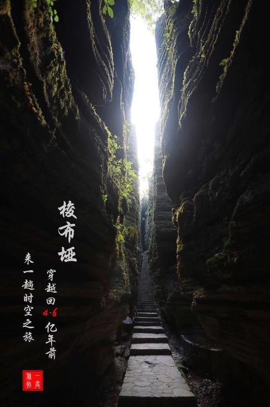 春雨直播app