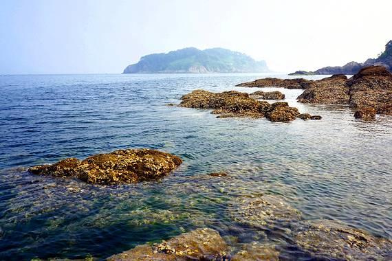 春雨直播app