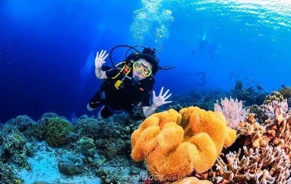 森迪公主夏日度假