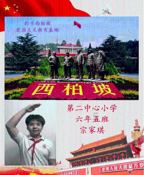 88影视