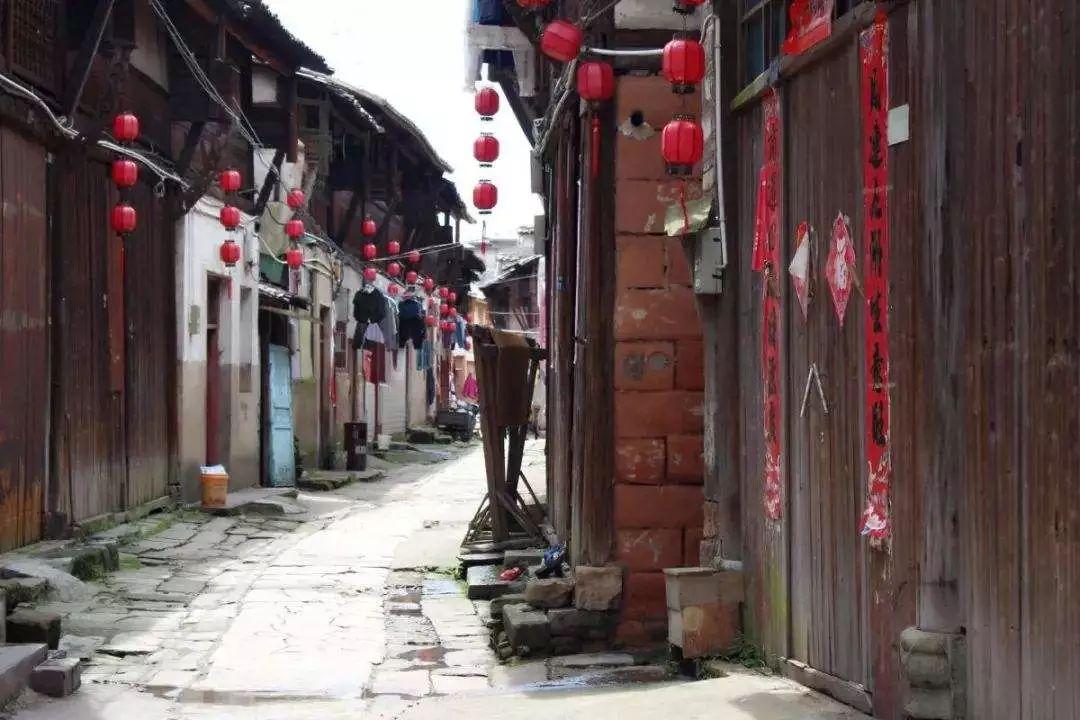 仔猪腹泻性脱水如何补液游戏画面